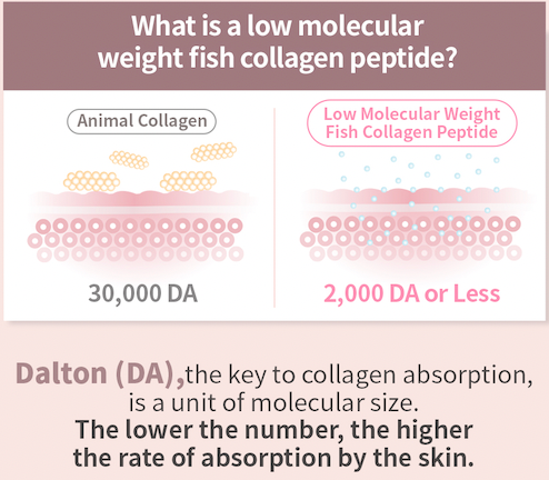 12000 High Collagen Drink - Dewology